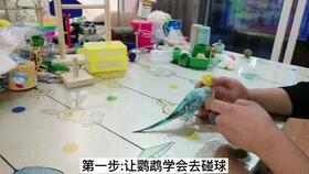 栗子吃瓜娱乐,揭秘娱乐圈幕后趣事 第2张 栗子吃瓜娱乐,揭秘娱乐圈幕后趣事 第2张